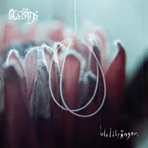 Blessings - Blodsträngen