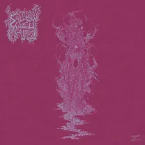 Sallow Moth - Deformity in Ceremony