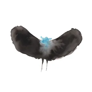 HAYWARDxDÄLEK - HAYWARDxDÄLEK