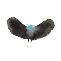 HAYWARDxDÄLEK - HAYWARDxDÄLEK