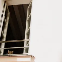 M(h)aol - Something Soft