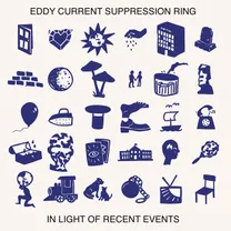 Eddy Current Suppression Ring - In Light Of Recent Events