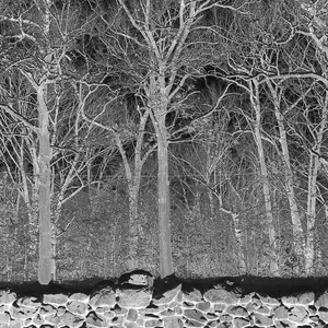 Pile - Sunshine and Balance Beams