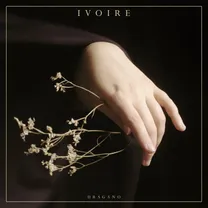 IVOIRE - Uragano