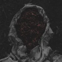 Gorrch - Stillamentum