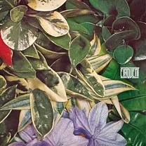 Elaquent - If Not Now, When?