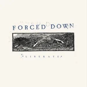 Forced Down - Liberate