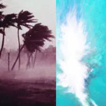 Arms and Sleepers - on the natural history of destruction