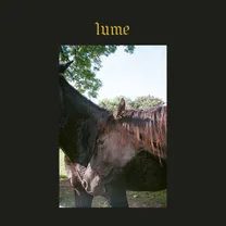 LUME - Blinding Love