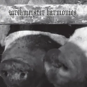 Wrekmeisterharmonies - Flowers In The Spring