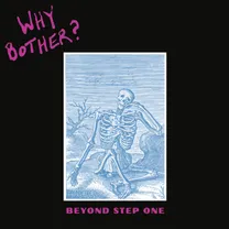 Why Bother? - Beyond Step One