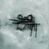 Loathe - A Stranger To You