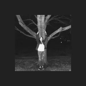 girl goes to greenland - II