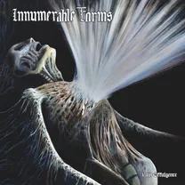 INNUMERABLE FORMS - Pain Effulgence