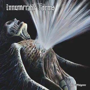 INNUMERABLE FORMS - Pain Effulgence
