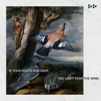 Pleiades - If Your Roots Run Deep, You Can't Fear The Wind