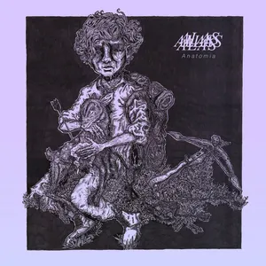 Alas - Anatomia