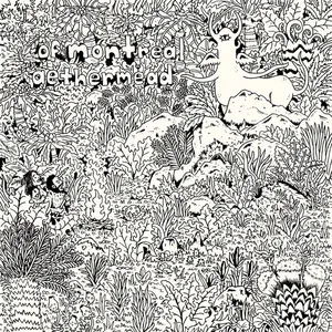 of Montreal - aethermead