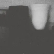 Merzbow - The Prosperity Of Vice, The Misfortune Of Virtue