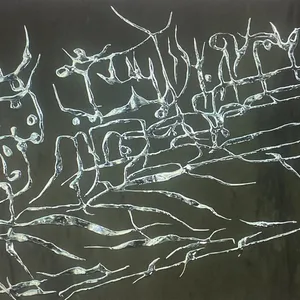 N NAO - Nouveau Langage