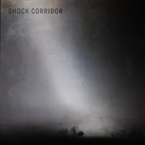 Shock Corridor - Shock Corridor