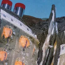 Stimulant - Sub-Normal