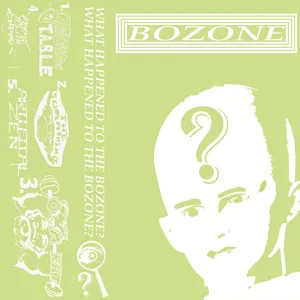 Bozone - What Happened to the Bozone?