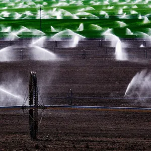 Wona - Ashes and arms