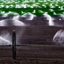 Wona - Ashes and arms