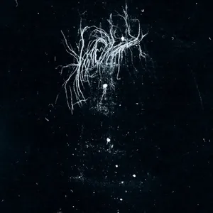 My Heart, an Inverted Flame - My Death Is More Beautiful Than Your Life