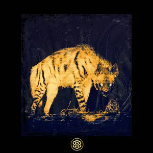 Offish - Circling The Drain