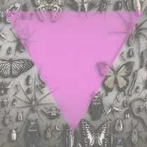 Death Goals - Survival Is An Act Of Defiance