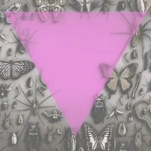 Death Goals - Survival Is An Act Of Defiance