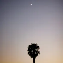 Elaquent - Paradise
