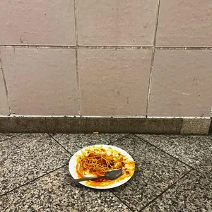 Local Support - ELAINE