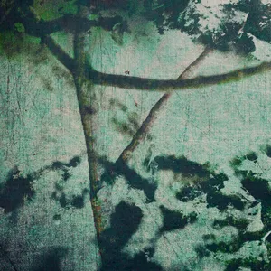 gyrofield - Suspension of Belief