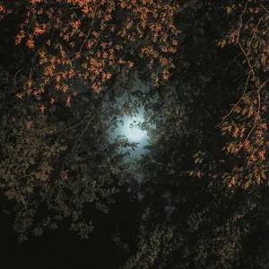 Watch me Rise - A DECADE FULL OF SETBACKS AND MISTAKES