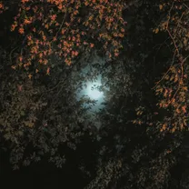 Watch me Rise - A DECADE FULL OF SETBACKS AND MISTAKES