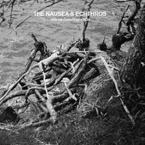 THE NAUSEA - Dream Disintegration (Collab with Echthros)