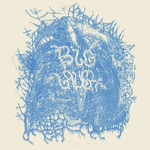 Big Laugh - Days of Disarray