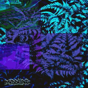 MIDDLING - This I Know for Certain