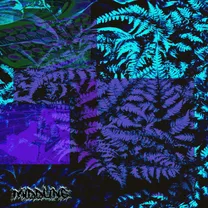 MIDDLING - This I Know for Certain