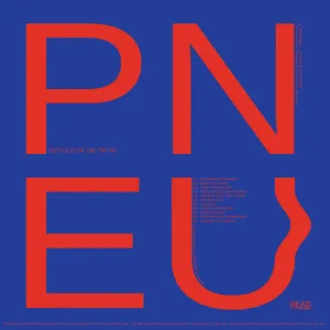 pneu - GET OLD OR DIE TRYIN'