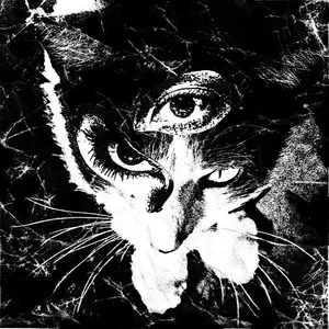 Tokyo Shoegazer - Remains