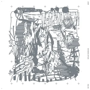IVM Trio - Explain Yourselves