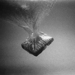 wet season - Here Now, Gone There