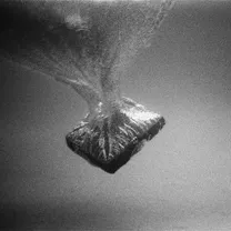 wet season - Here Now, Gone There