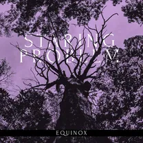Staring Problem - Equinox