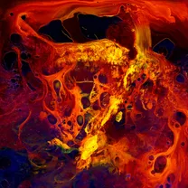 Ingrina - Nåværende Lys