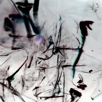 SHXCXCHCXSH - QQQO EP